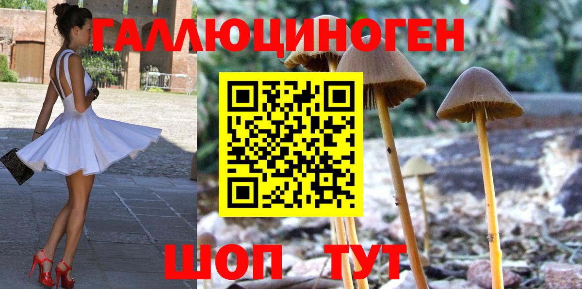 Псилоцибиновые грибы мухоморы Петрозаводск