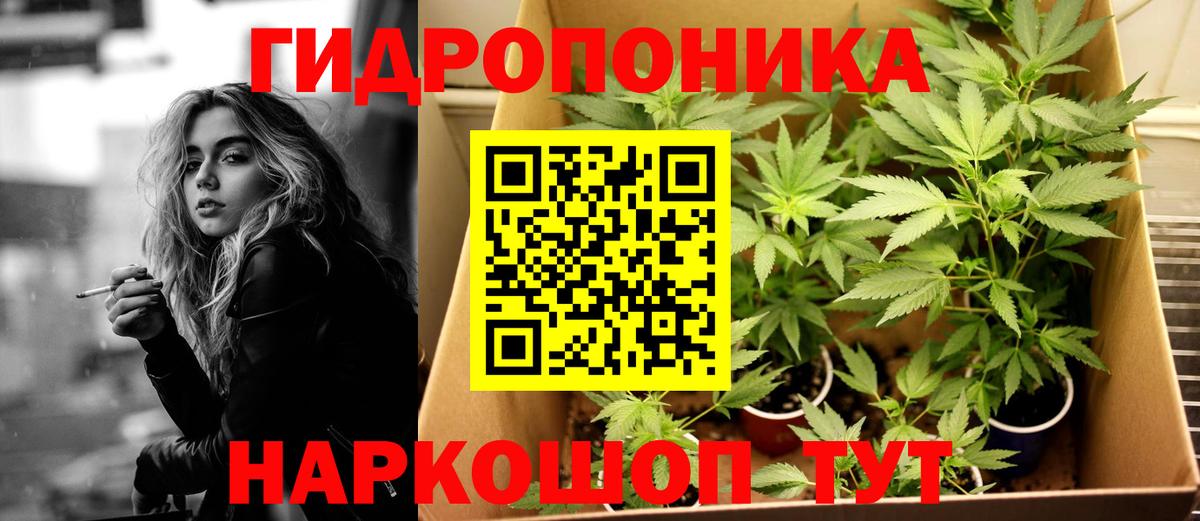 Каннабис индика  Каннабис ГИДРОПОН  Вход с VPN  Петрозаводск  Марихуана VHQ  МАРИХУАНА Bruce Banner 